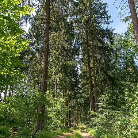 Bungis Ferien Direkt Am Grimnitzsee, Karree 01 *